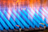 Aylburton Common gas fired boilers